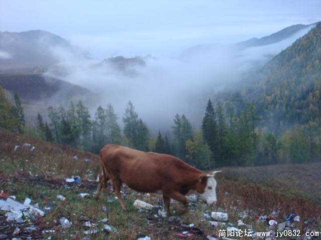 这张挺让我 难过的，禾木是喀纳斯的后花园，可山上的少数民族却太不环保了，不知道几年后的禾木会成什么样啊 ...