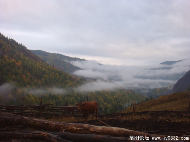 DSC01553.JPG