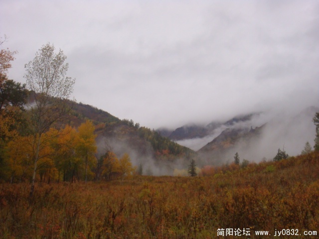 DSC01565.JPG