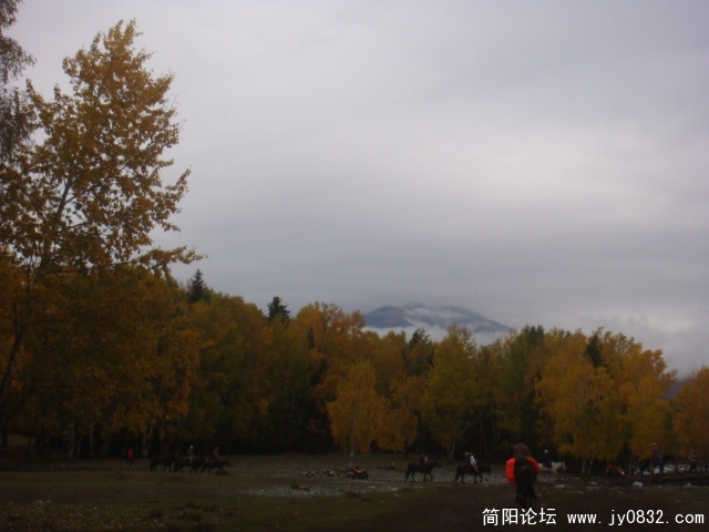 DSC01623.JPG