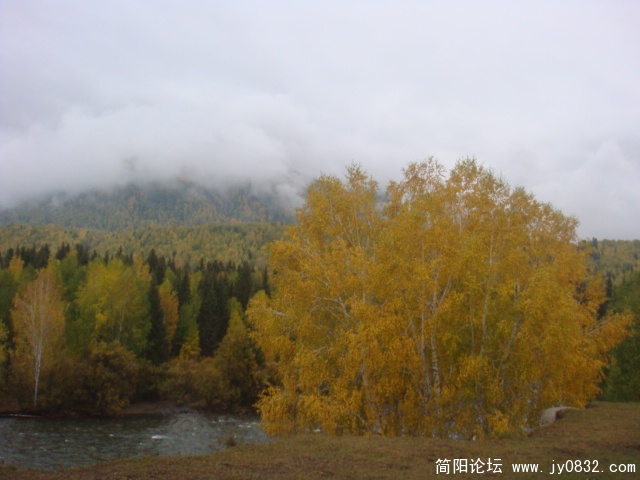 DSC01613.JPG
