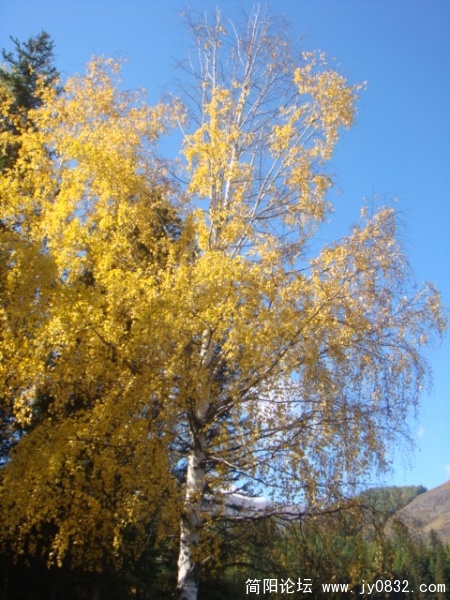 DSC01776.JPG