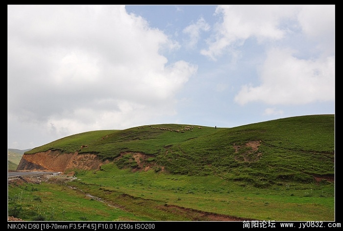 nEO_IMG_DSC_0187.jpg
