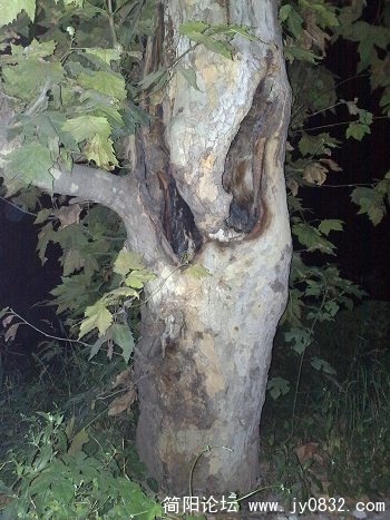 20090902542.jpg