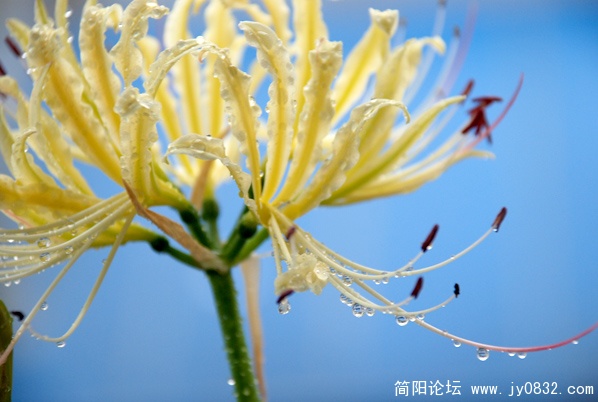 DSC_2764副本.jpg