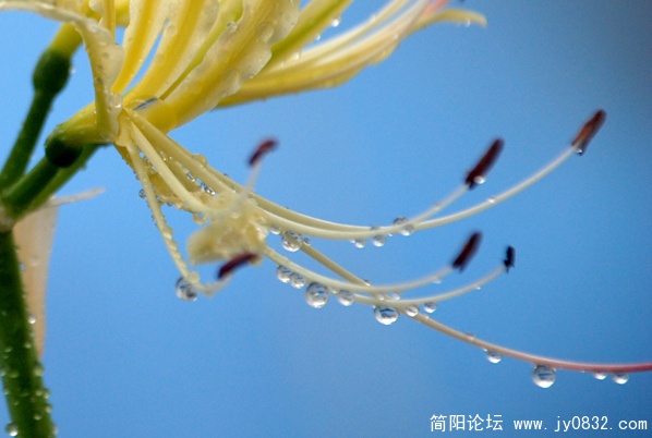 DSC_2765副本.jpg
