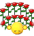FFFFFGF.gif