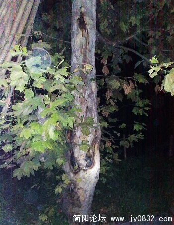 20090902543.jpg