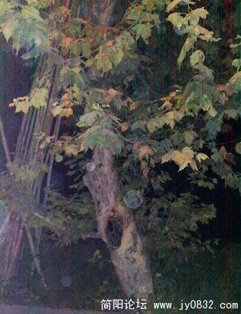 20090902539.jpg