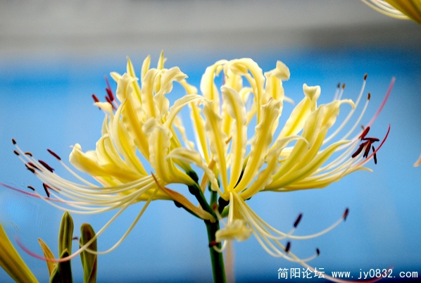 DSC_2758副本.jpg