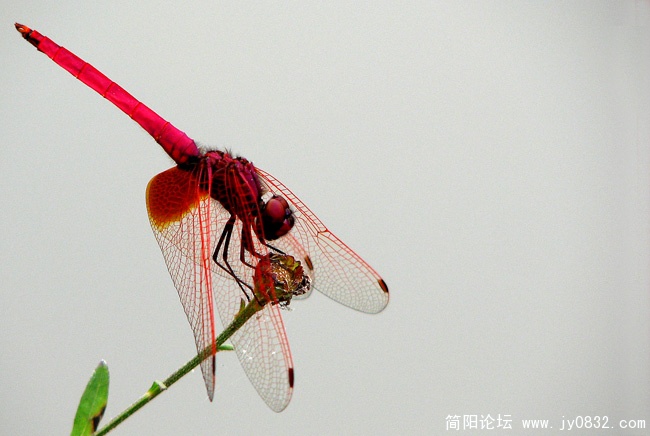IMG_0204副本.jpg