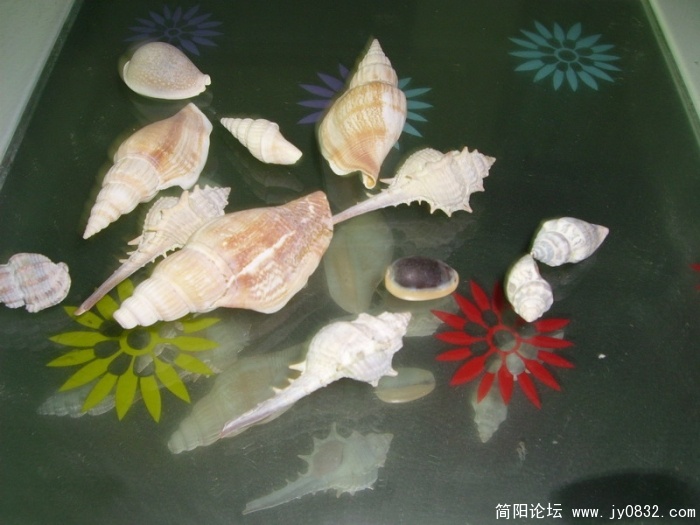 SL701393_调整大小.JPG