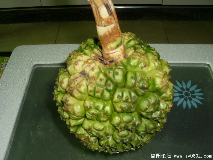SL701390_调整大小.JPG