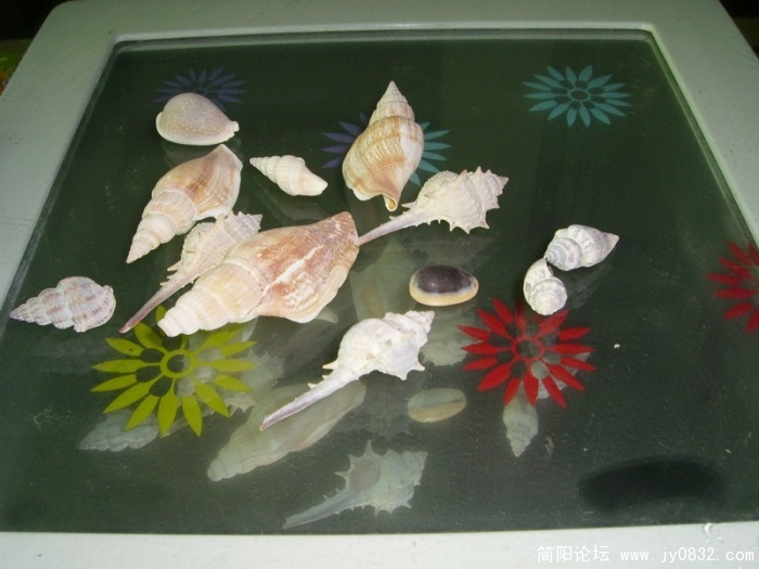 SL701392_调整大小.JPG