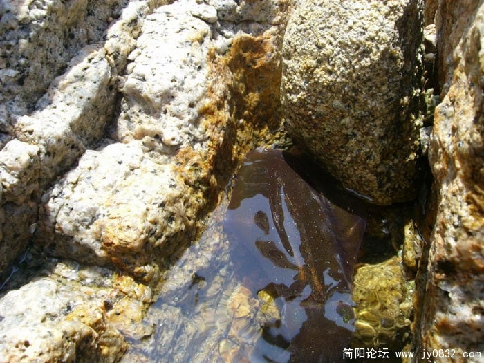 SL701371_调整大小.JPG