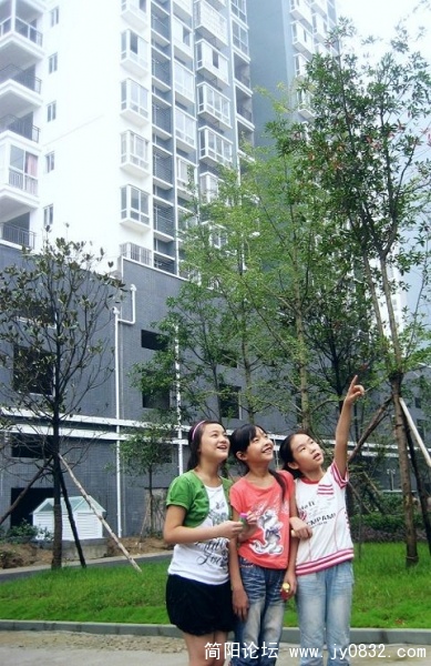 简阳公园 084a.jpg