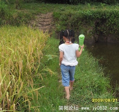 回家的路上
