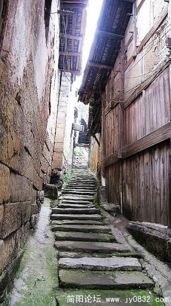 IMG_1574.jpg