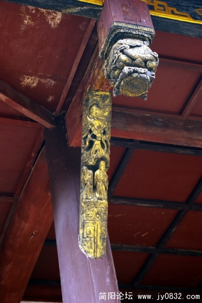 IMGP2952.jpg