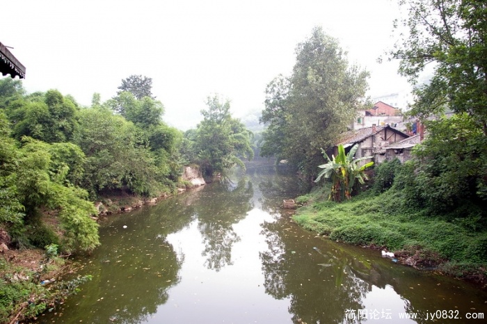 IMGP2961.jpg