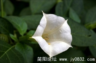 IMGP2943.jpg