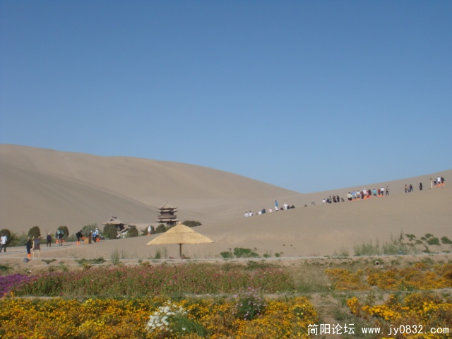 DSC02115.JPG