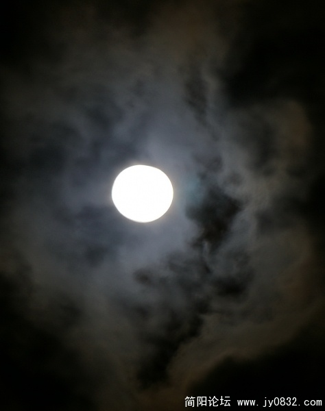 IMGP3256.jpg