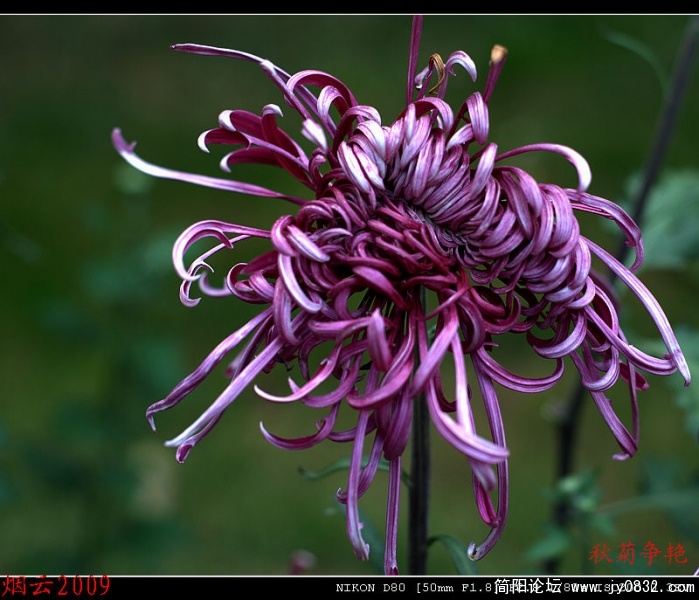 DSC_0316.jpg