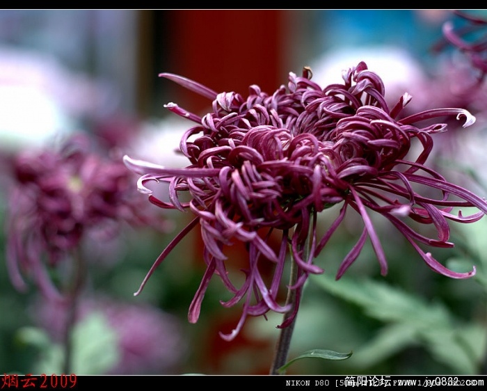 DSC_0323.jpg
