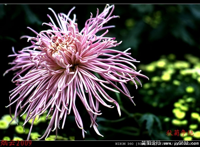 DSC_0322.jpg