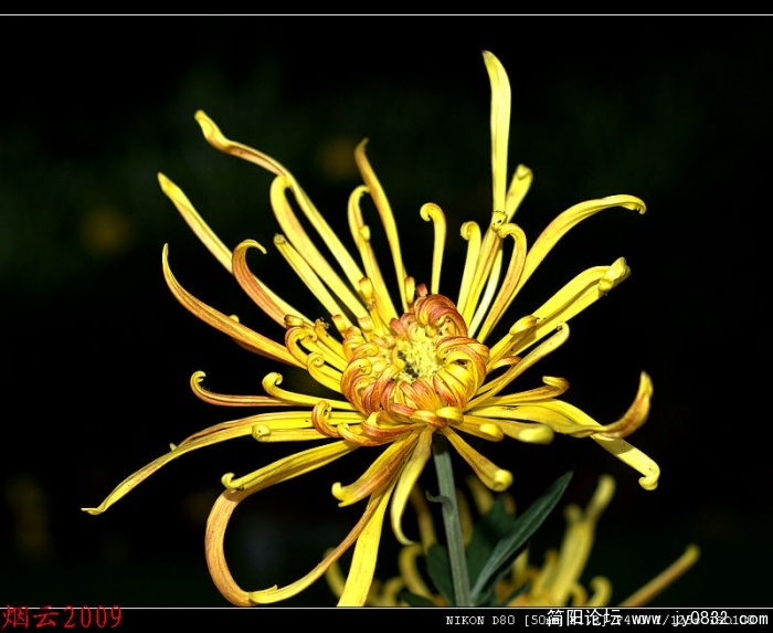 DSC_0382.jpg