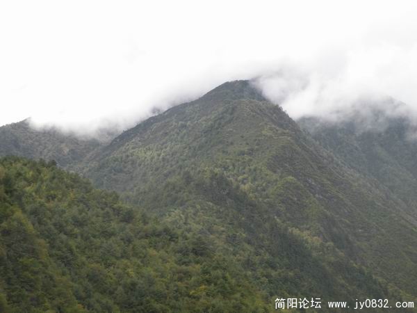 山上雾气蒙蒙.jpg
