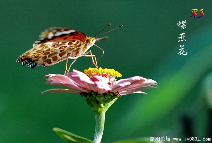 DSC_9184 拷贝.jpg