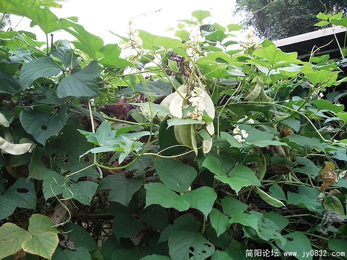 照片2405.jpg