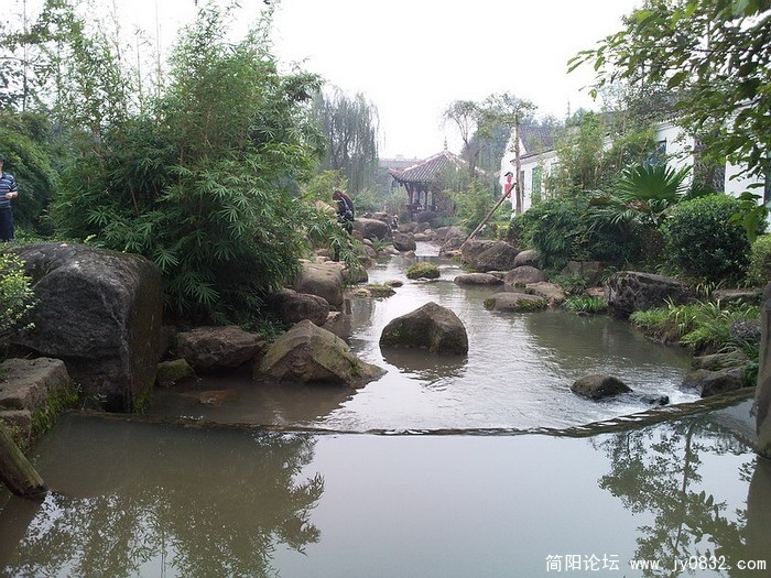 照片2417.jpg