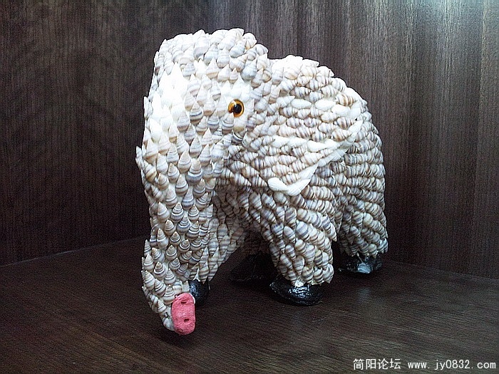 照片2419.jpg