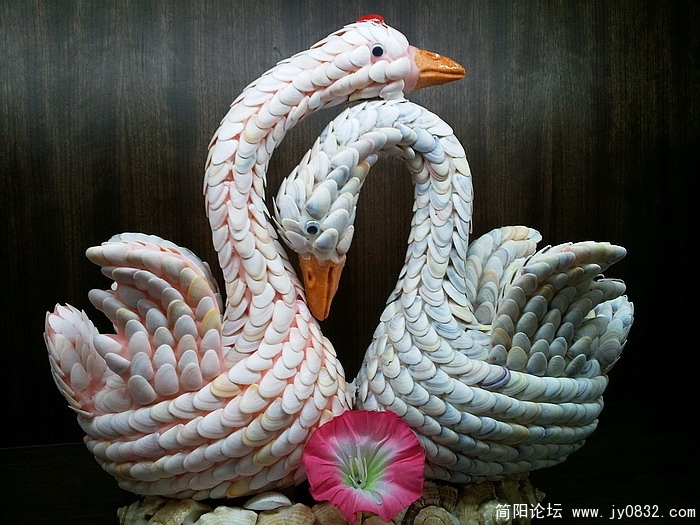 照片2421.jpg