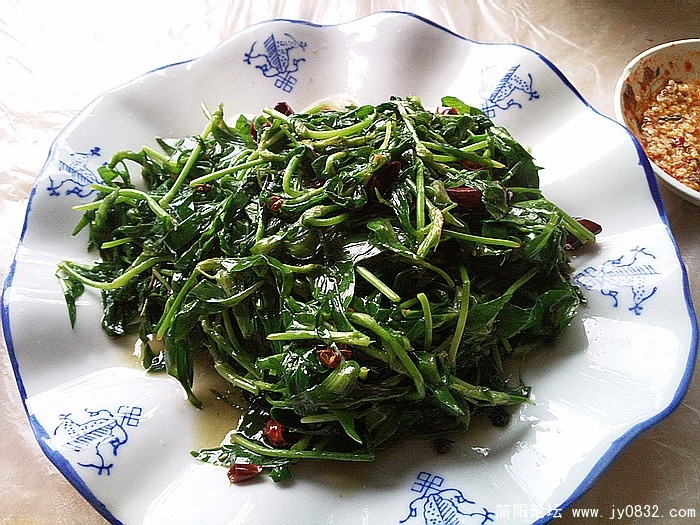 照片2423.jpg