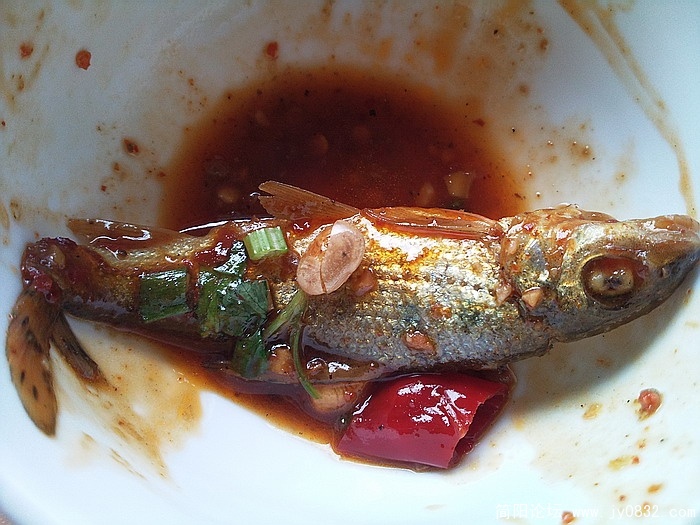 照片2427.jpg