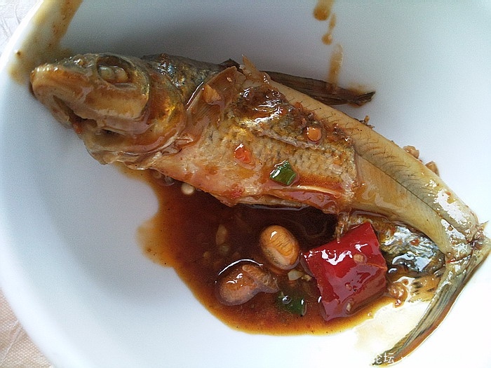 照片2426.jpg