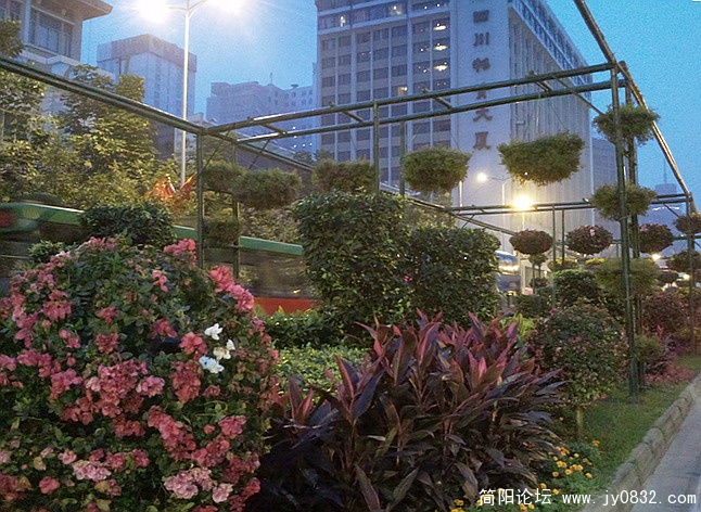 照片2445.jpg