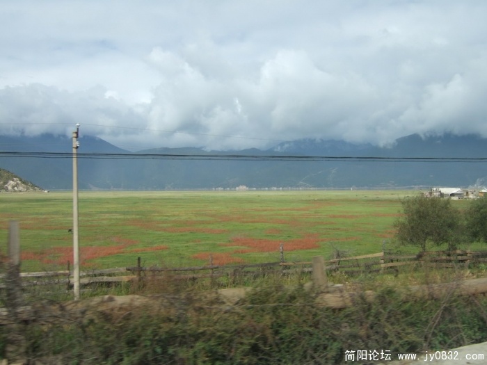 小中甸草原