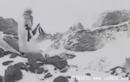 飞去飞来的满天的飞絮是幻想你的笑脸.jpg