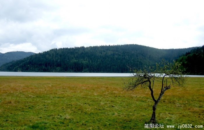 碧塔海2.jpg