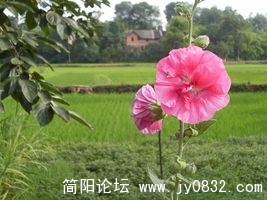 SDC13209 [320x200].JPG