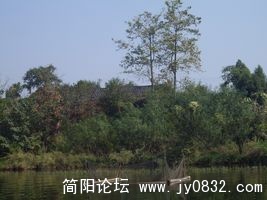 SDC13716 [320x200].JPG