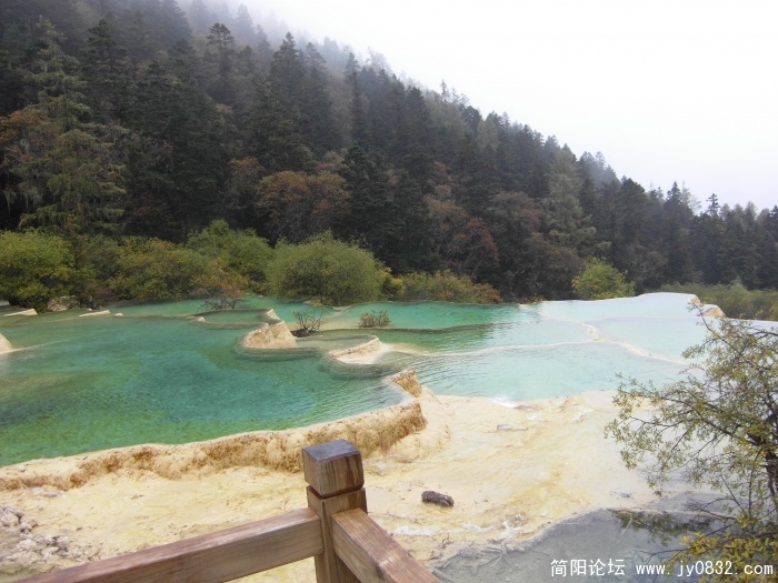 SDC10559.JPG