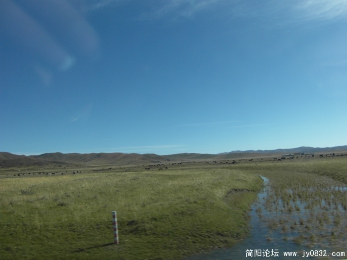 SDC10276.JPG