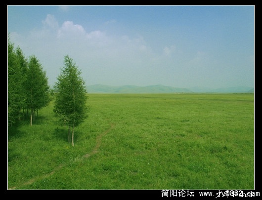 塞罕坝草原.jpg