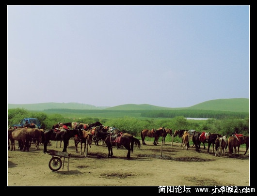 等待着游客的马匹.jpg
